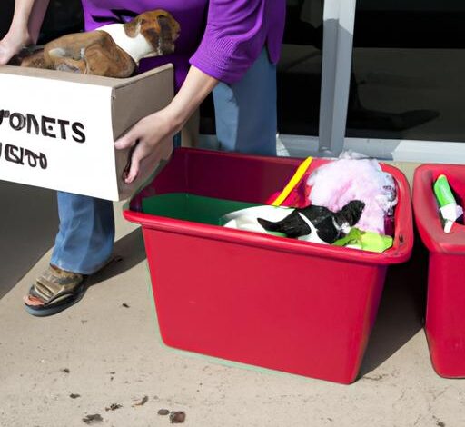 Donating To Animal Shelters